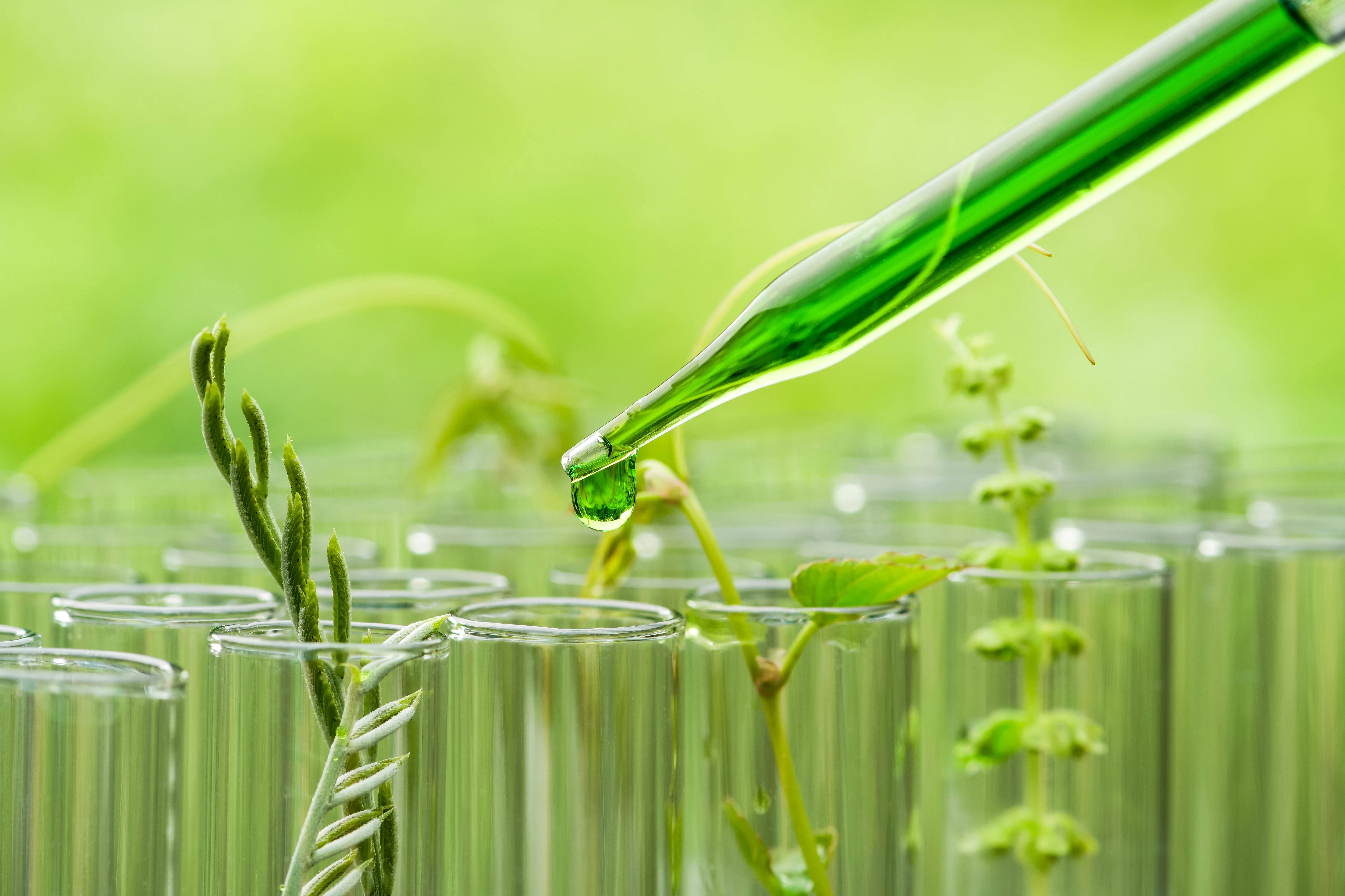 Productos - Biofertilizantes de calidad